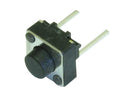 Button switch 2 pins