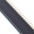 Pinheader female 40 pins