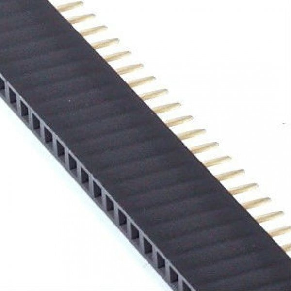 Pinheader female 40 pins