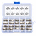 Assortiment glaszekeringen 5x20 in kunststof box (set)