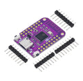 Wemos S2 Mini