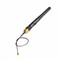 ESP antenne 2,4G